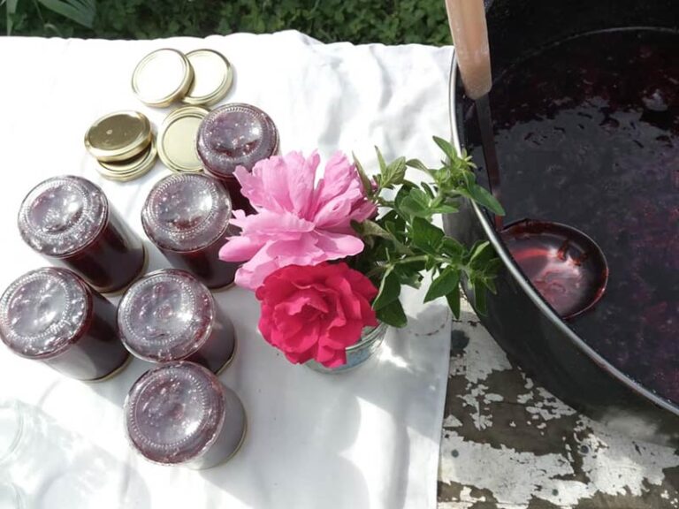 Елена и Николай и тайните на малиновото вино, сладкото и вишневия оцет