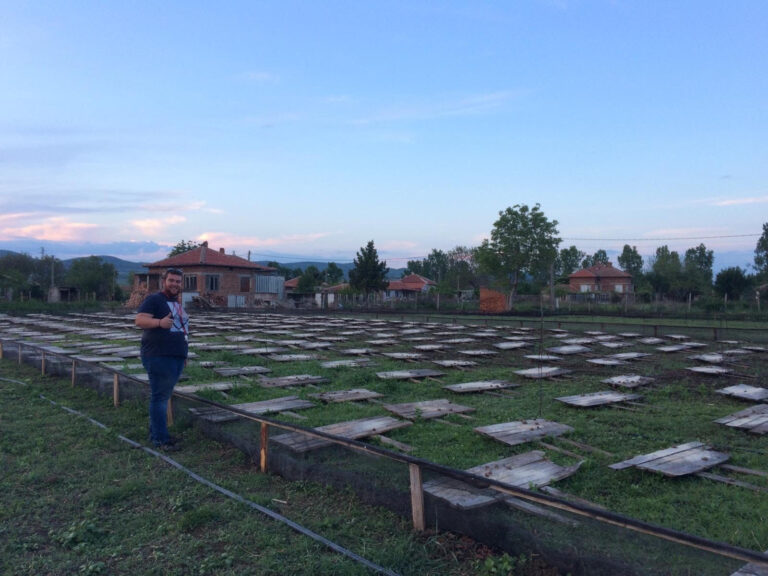 Как младият инженер Коста Къчев отвори ферма за охлюви под Балкана