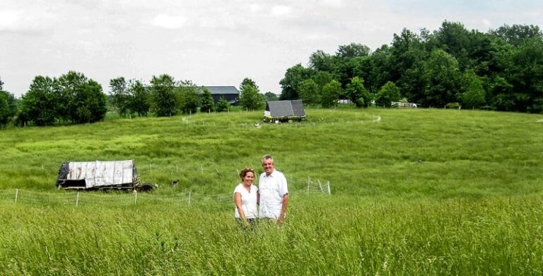 Фермата Elmwood Stock Farm като пример за солидарно земеделие