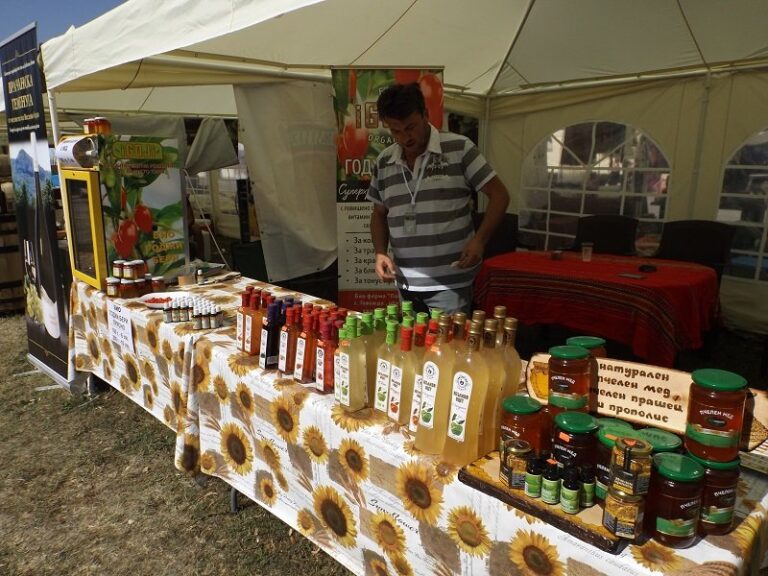 Годжи бери в Говежда