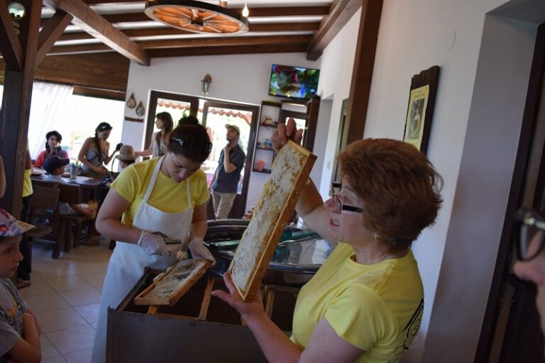 Семейство Михови и пчелите